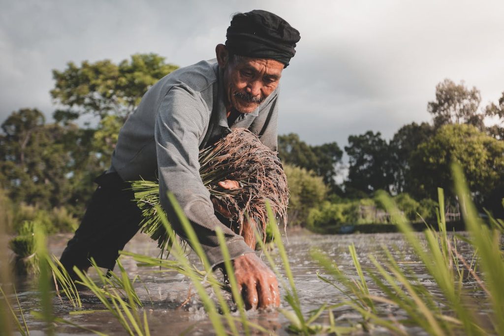 regenerative farming